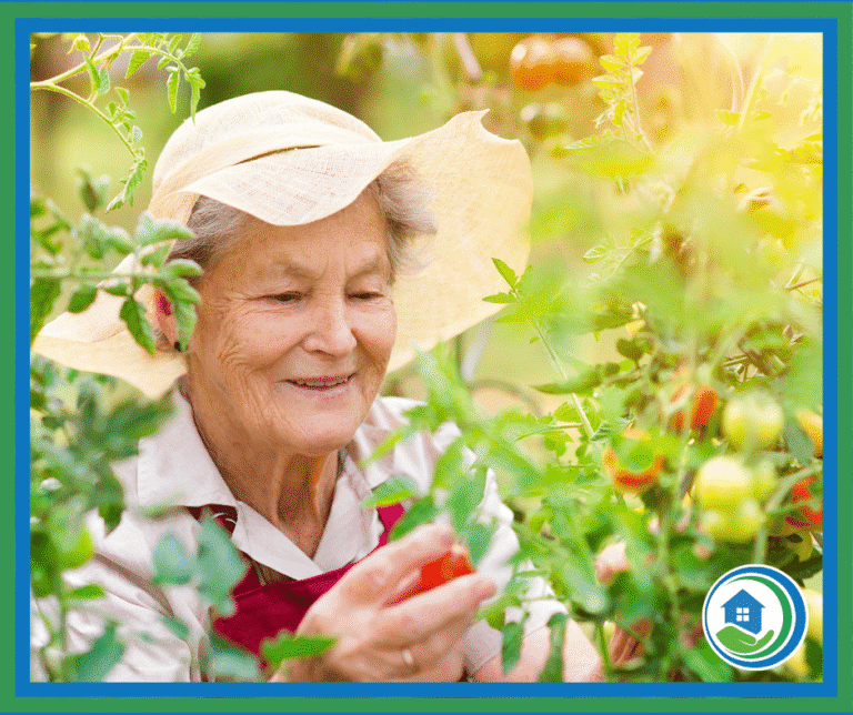 Senior Home Care in Wichita Falls TX